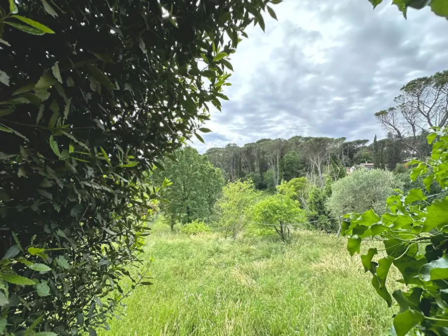 Immagine 30 di Casa colonica in vendita  a Uzzano