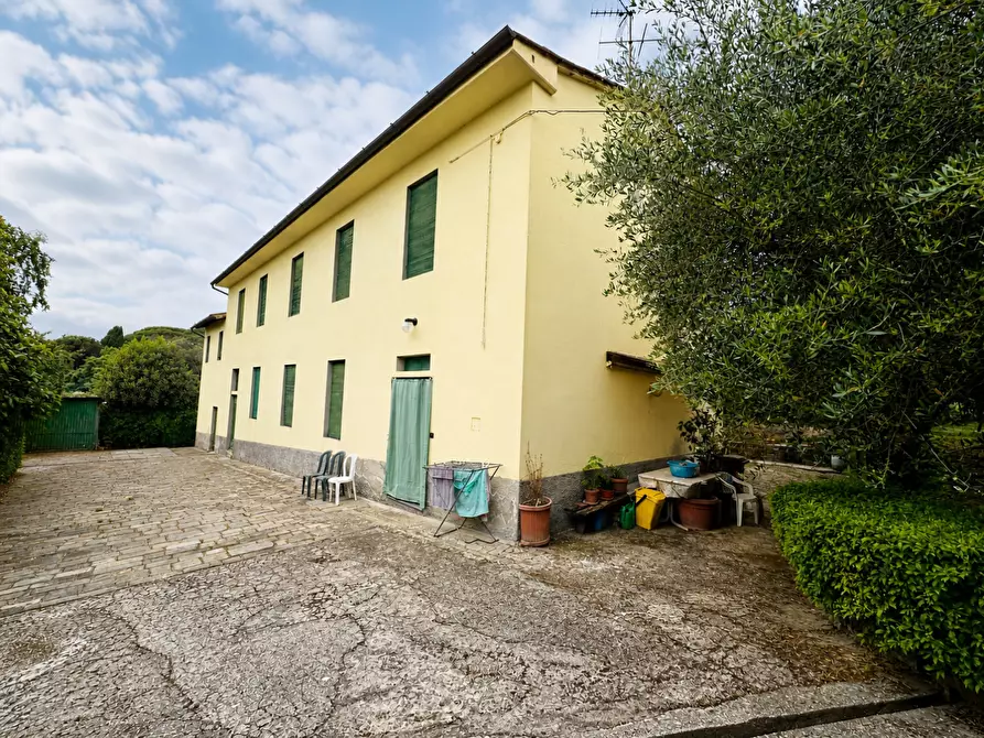 Immagine 2 di Casa colonica in vendita  a Uzzano