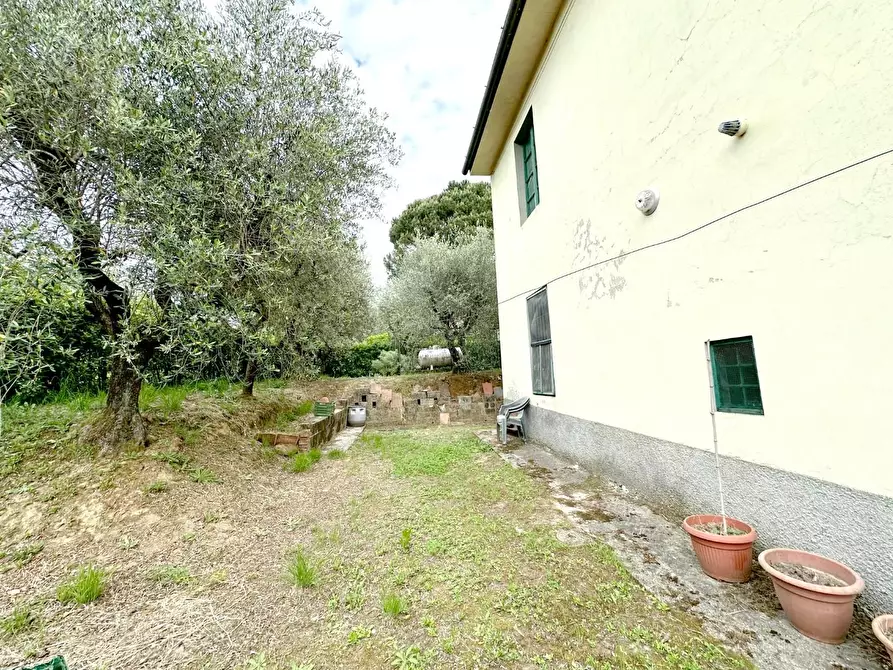 Immagine 27 di Casa colonica in vendita  a Uzzano