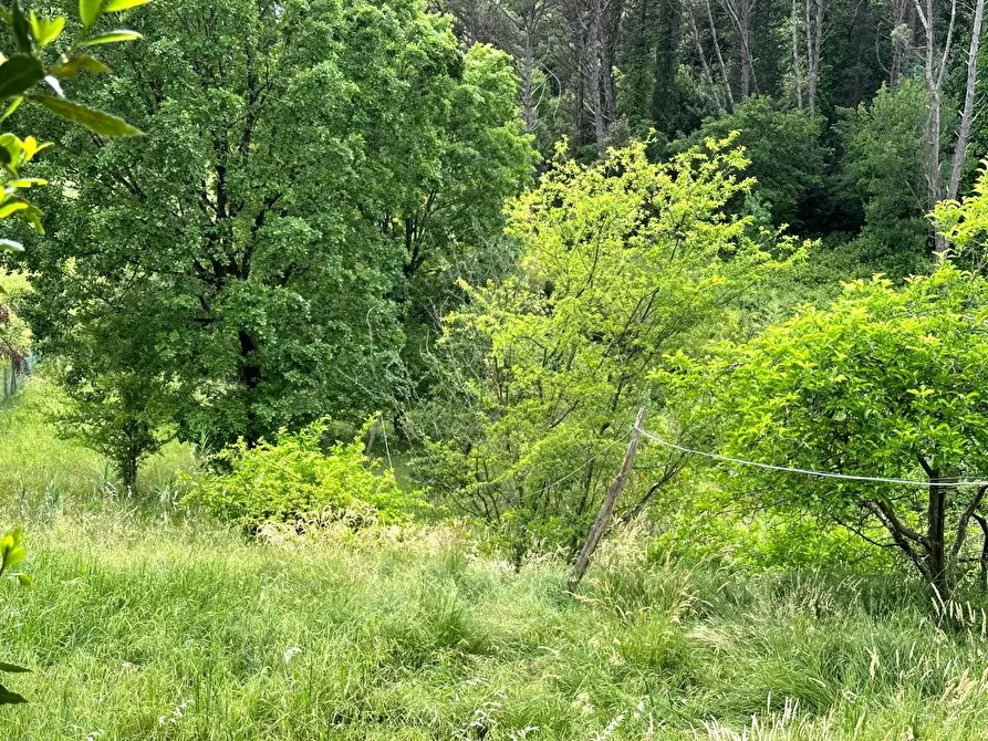 Immagine 28 di Casa colonica in vendita  a Uzzano