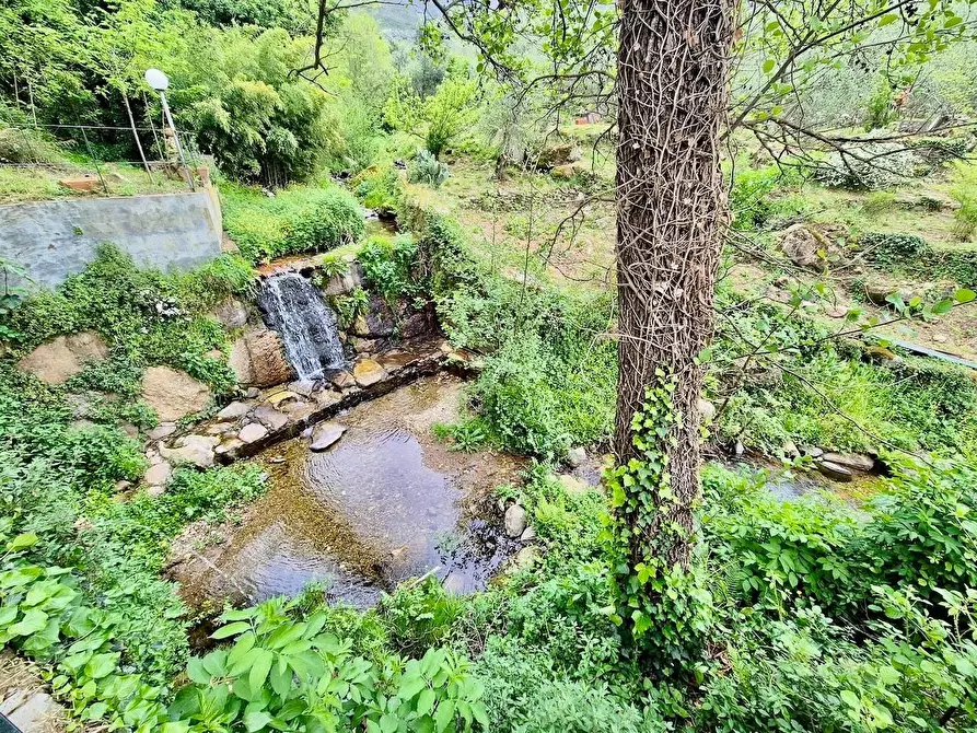 Immagine 5 di Villa in vendita  a Calci