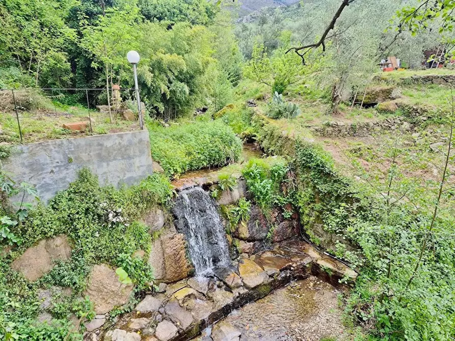 Immagine 7 di Villa in vendita  a Calci