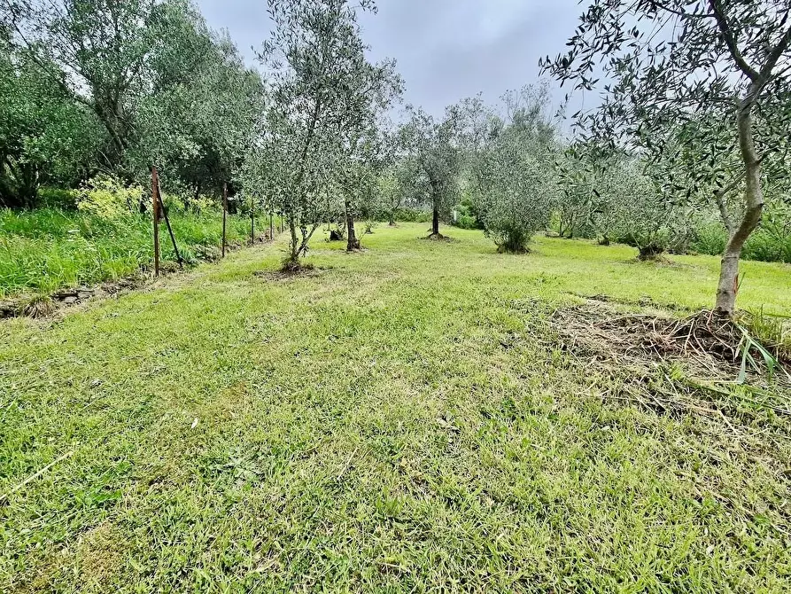 Immagine 37 di Villa in vendita  a Calci