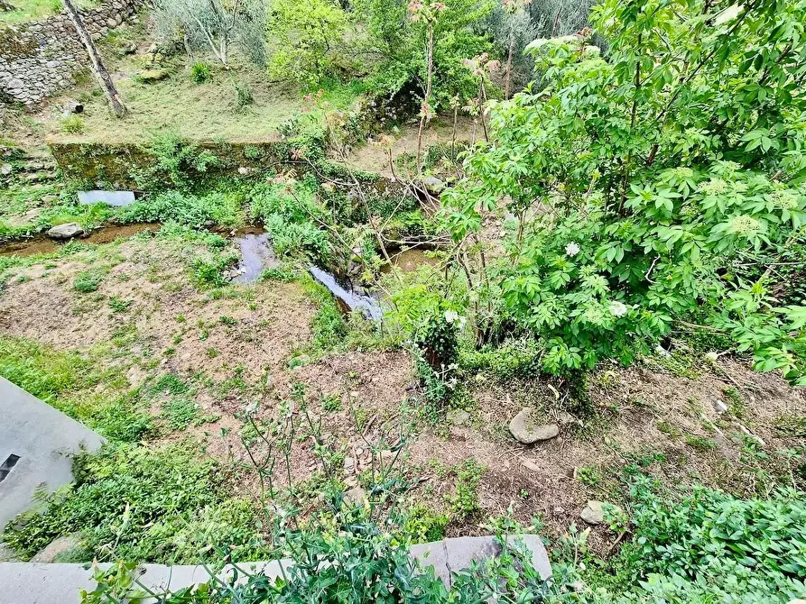 Immagine 3 di Villa in vendita  a Calci