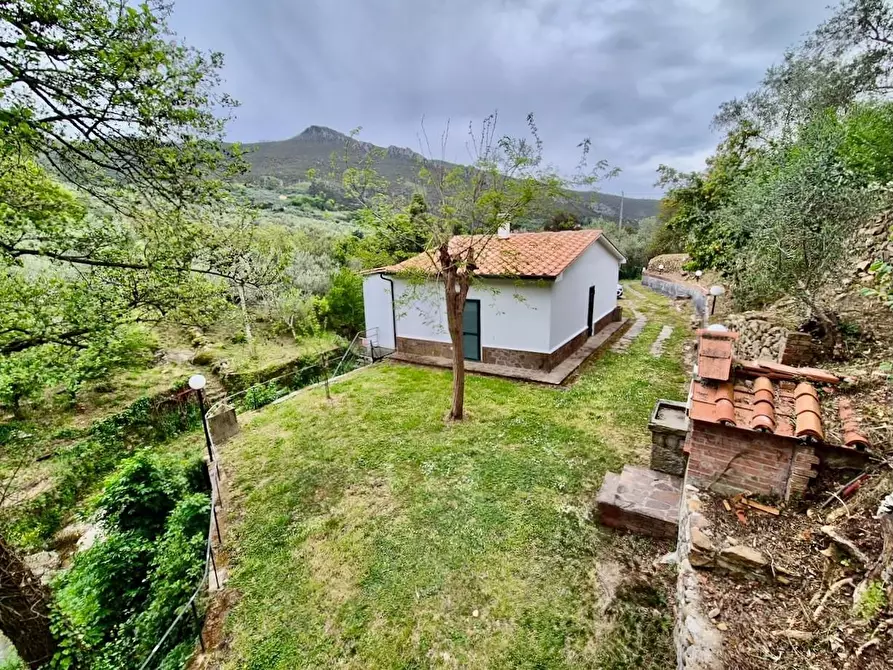 Immagine 13 di Villa in vendita  a Calci