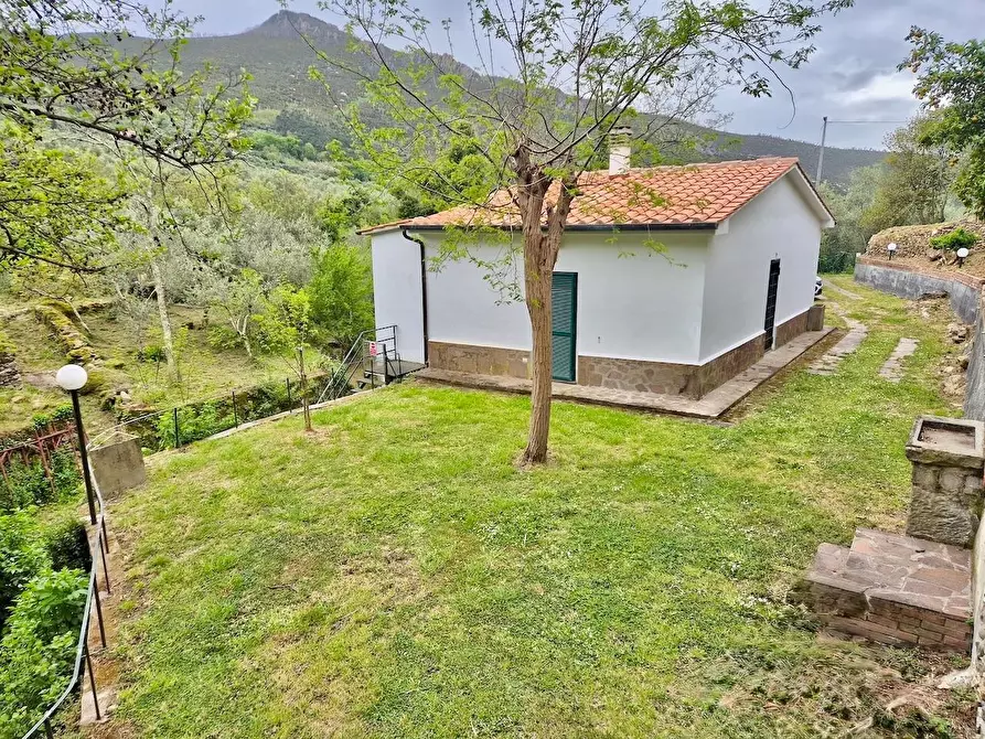 Immagine 14 di Villa in vendita  a Calci