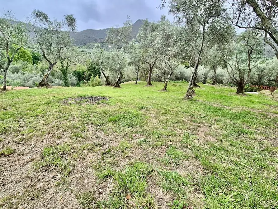 Immagine 36 di Villa in vendita  a Calci
