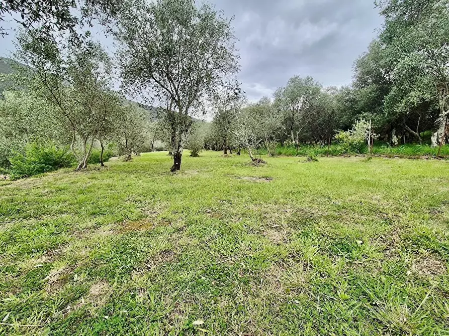 Immagine 38 di Villa in vendita  a Calci