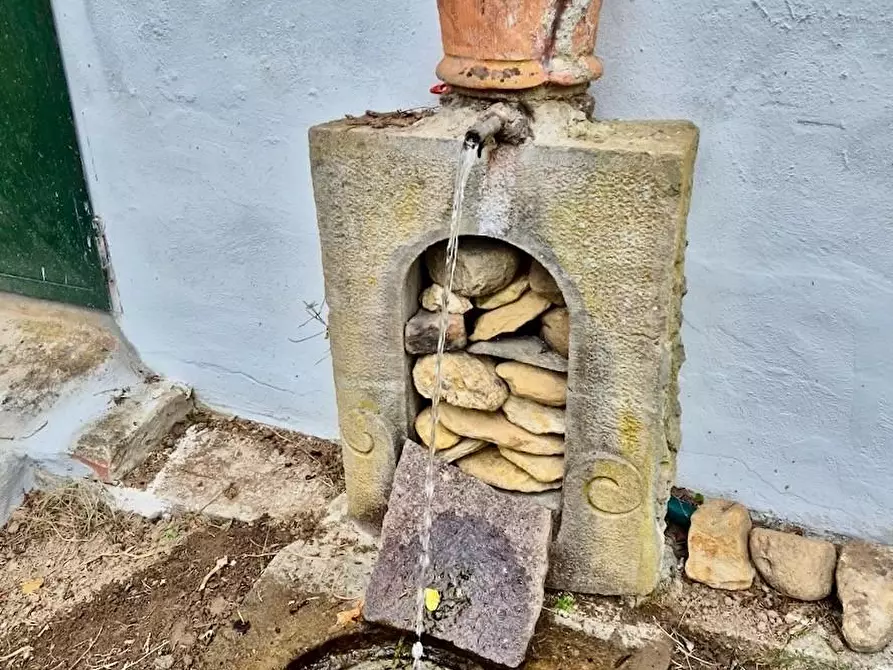 Immagine 9 di Villa in vendita  a Calci