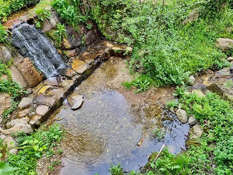 Immagine 8 di Villa in vendita  a Calci