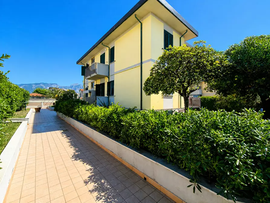 Immagine 1 di Appartamento in vendita  a Carrara