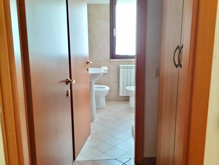Immagine 9 di Appartamento in affitto  a Pisa