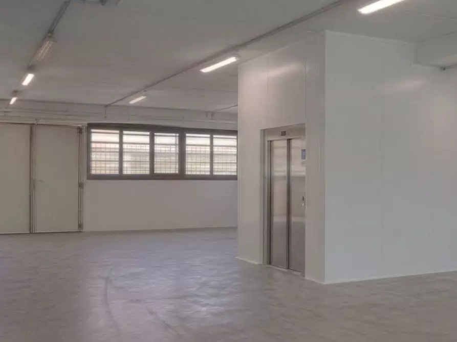 Immagine 8 di Capannone industriale in vendita  a Viareggio