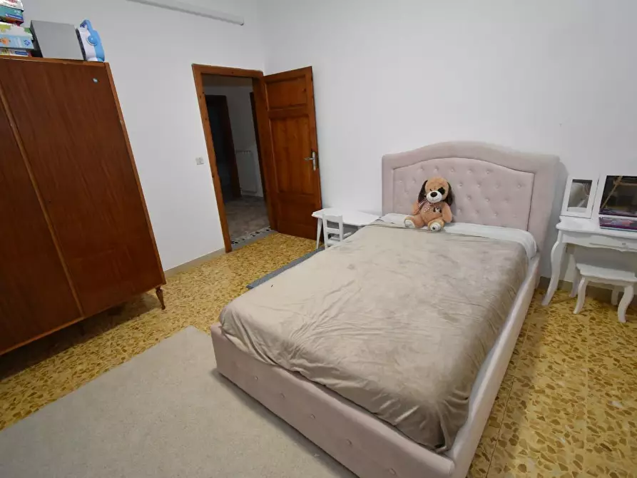 Immagine 14 di Villa in vendita  a Vecchiano