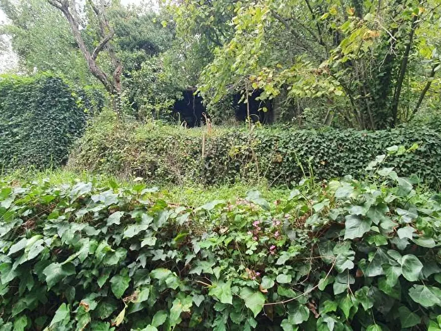 Immagine 74 di Casa semindipendente in vendita  a Colle Di Val D'elsa