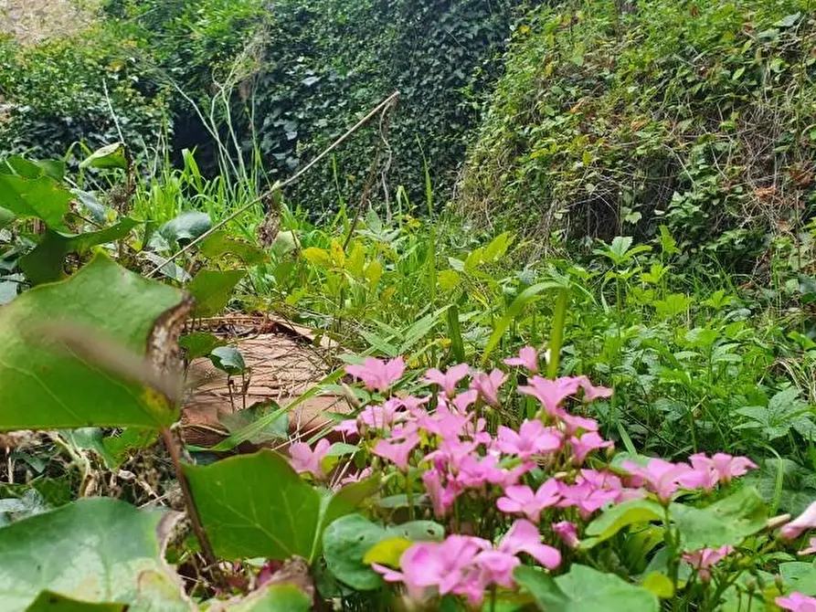 Immagine 77 di Casa semindipendente in vendita  a Colle Di Val D'elsa