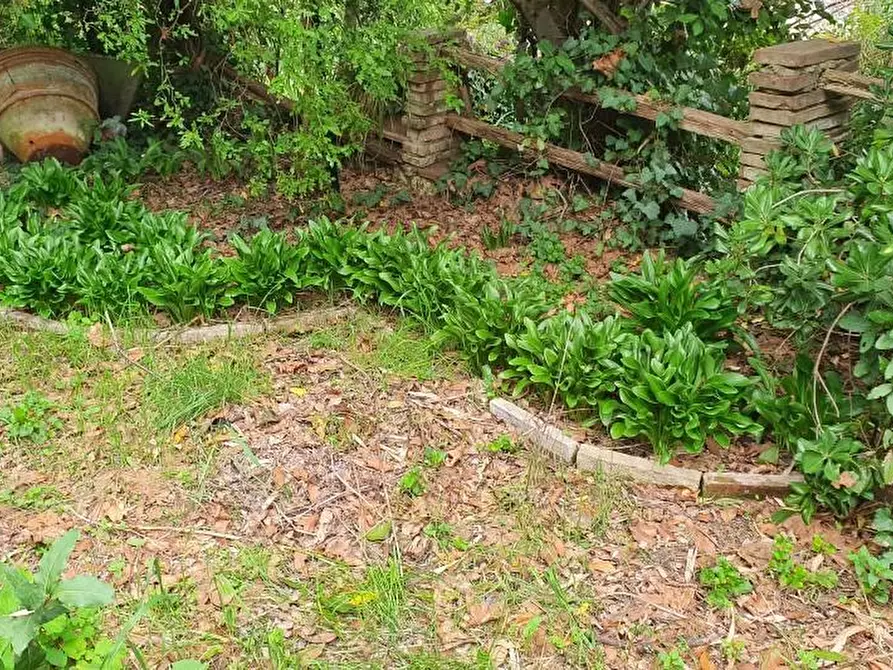 Immagine 76 di Casa semindipendente in vendita  a Colle Di Val D'elsa