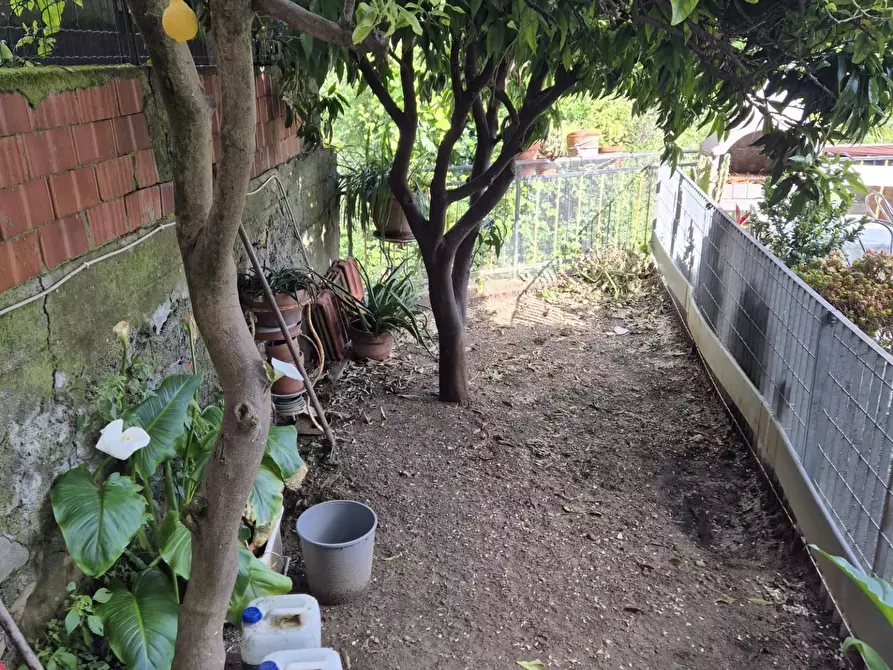 Immagine 7 di Appartamento in vendita  a Ortonovo