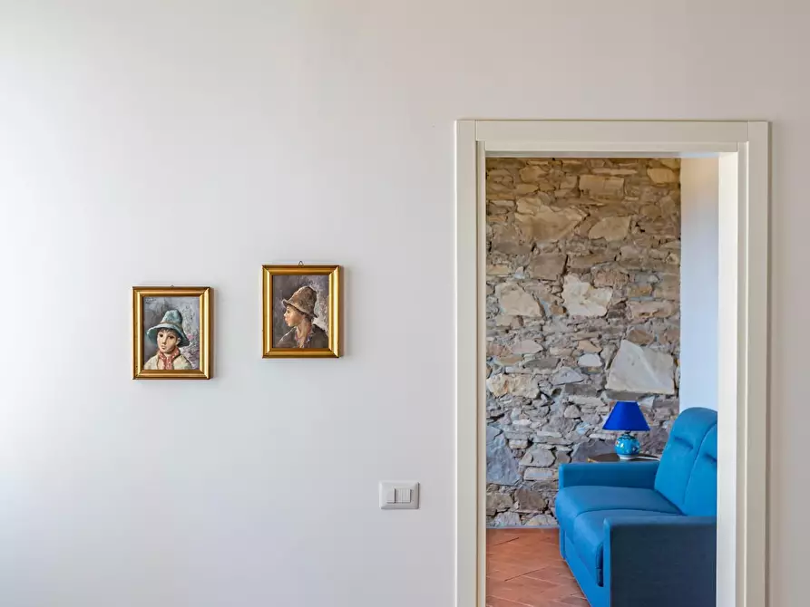 Immagine 29 di Villa in vendita  a Capannori
