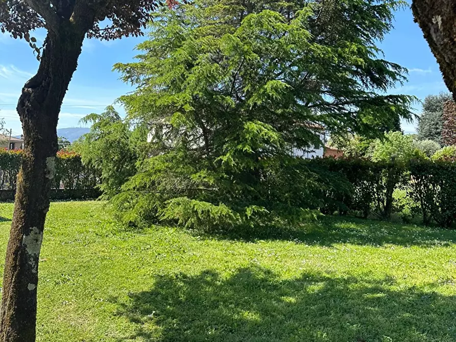Immagine 3 di Rustico / casale in vendita  a Porcari