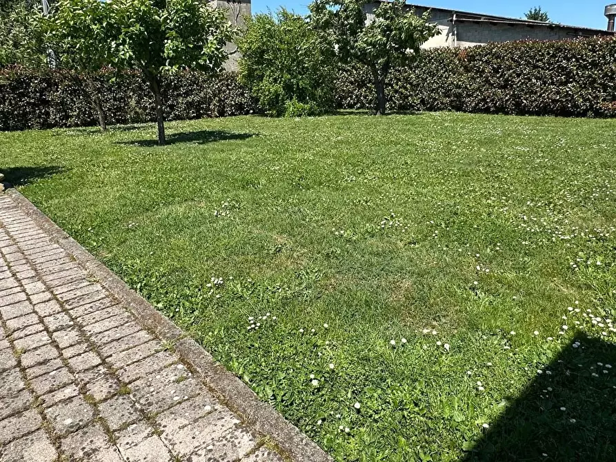 Immagine 6 di Rustico / casale in vendita  a Porcari