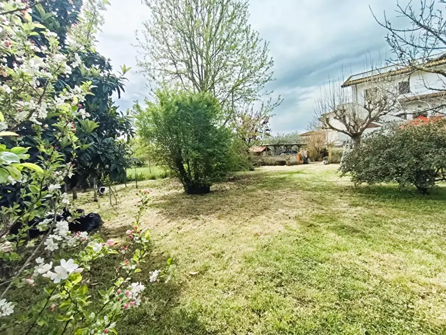 Immagine 52 di Casa bifamiliare in vendita  a Pisa
