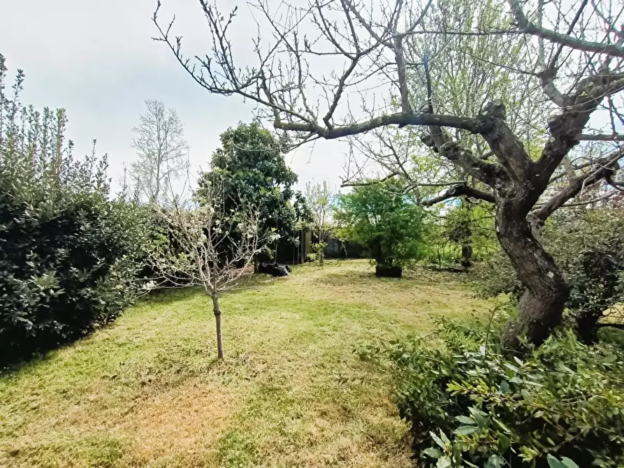 Immagine 56 di Casa bifamiliare in vendita  a Pisa