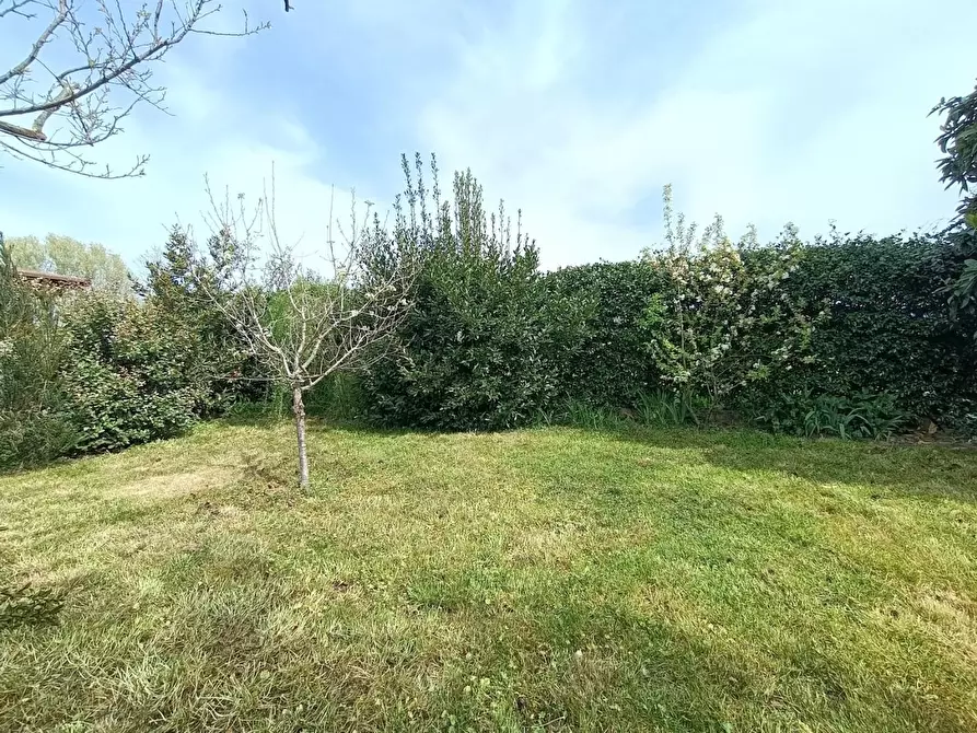 Immagine 51 di Casa bifamiliare in vendita  a Pisa