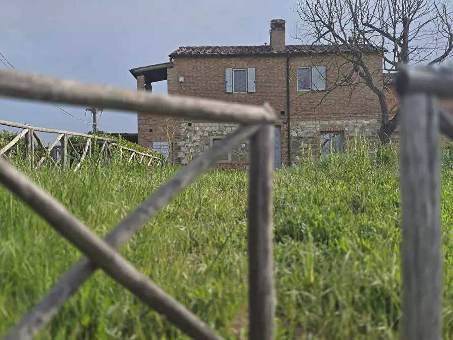 Immagine 2 di Appartamento in vendita  a Monteroni D'arbia