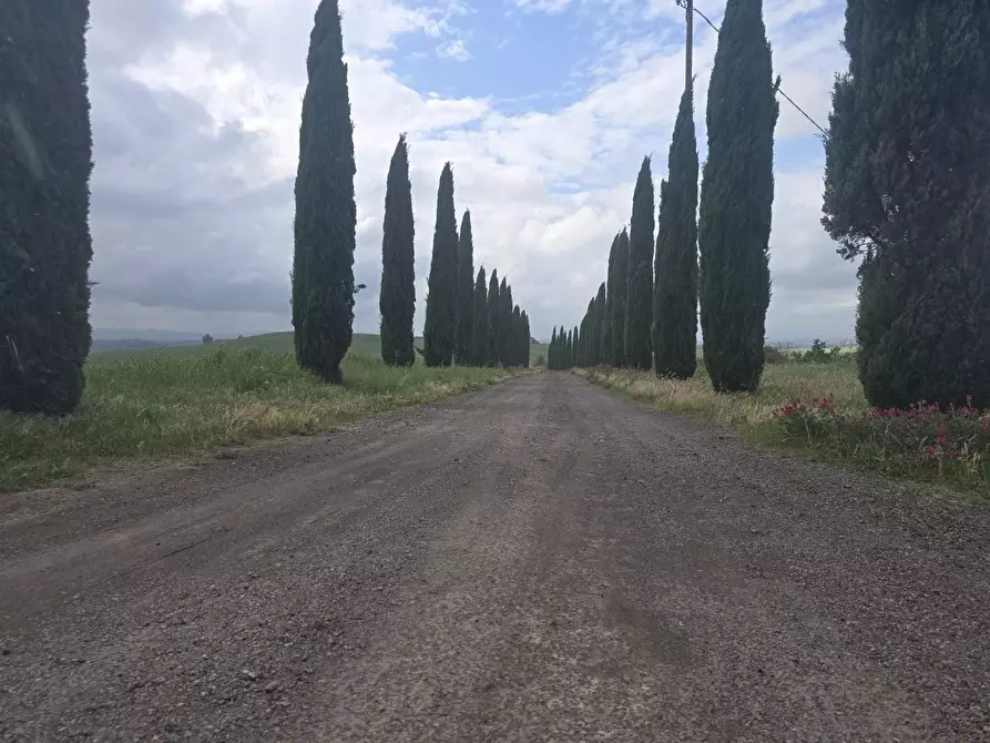 Immagine 29 di Appartamento in vendita  a Monteroni D'arbia