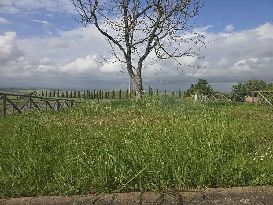 Immagine 3 di Appartamento in vendita  a Monteroni D'arbia