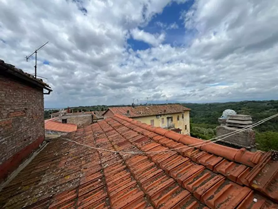 Immagine 16 di Appartamento in vendita  a Palaia