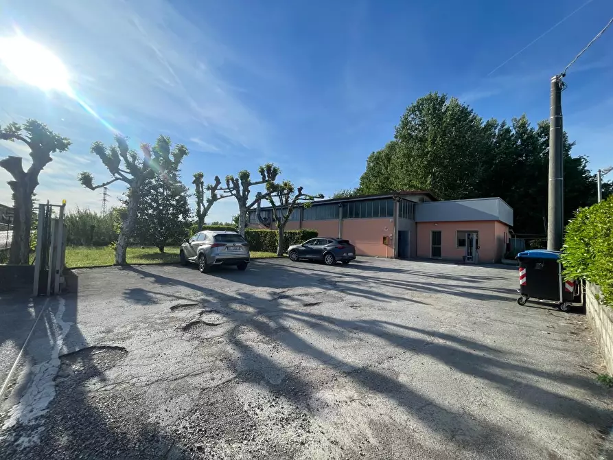 Immagine 1 di Attività artigianale in vendita  a Capannori