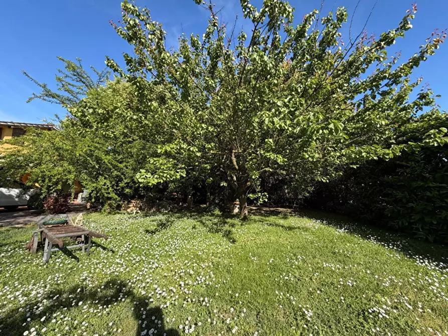 Immagine 38 di Casa indipendente in vendita  a Empoli