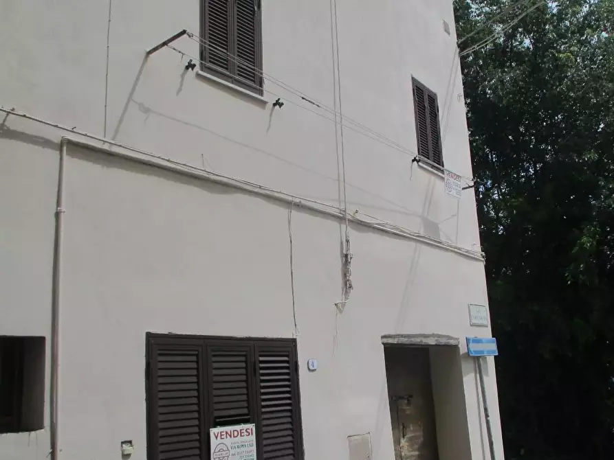 Immagine 2 di Appartamento in vendita  a Santa Maria A Monte