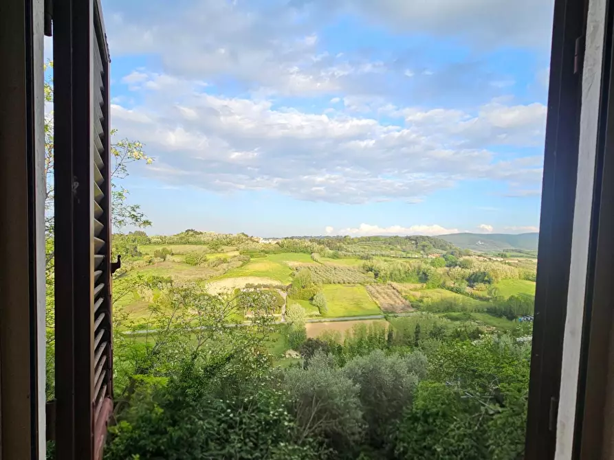 Immagine 2 di Terratetto in vendita  a Crespina Lorenzana