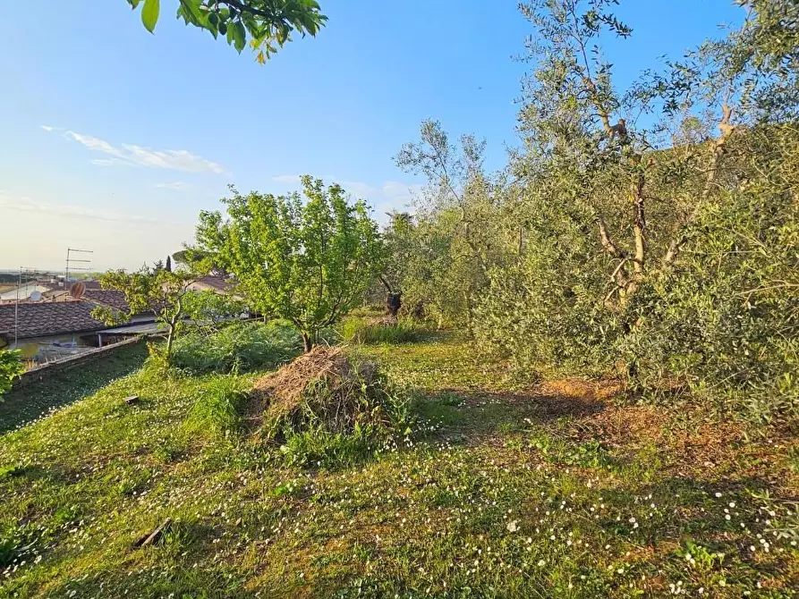 Immagine 46 di Porzione di casa in vendita  a Collesalvetti