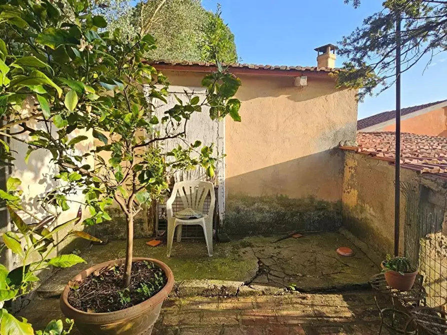 Immagine 39 di Porzione di casa in vendita  a Collesalvetti