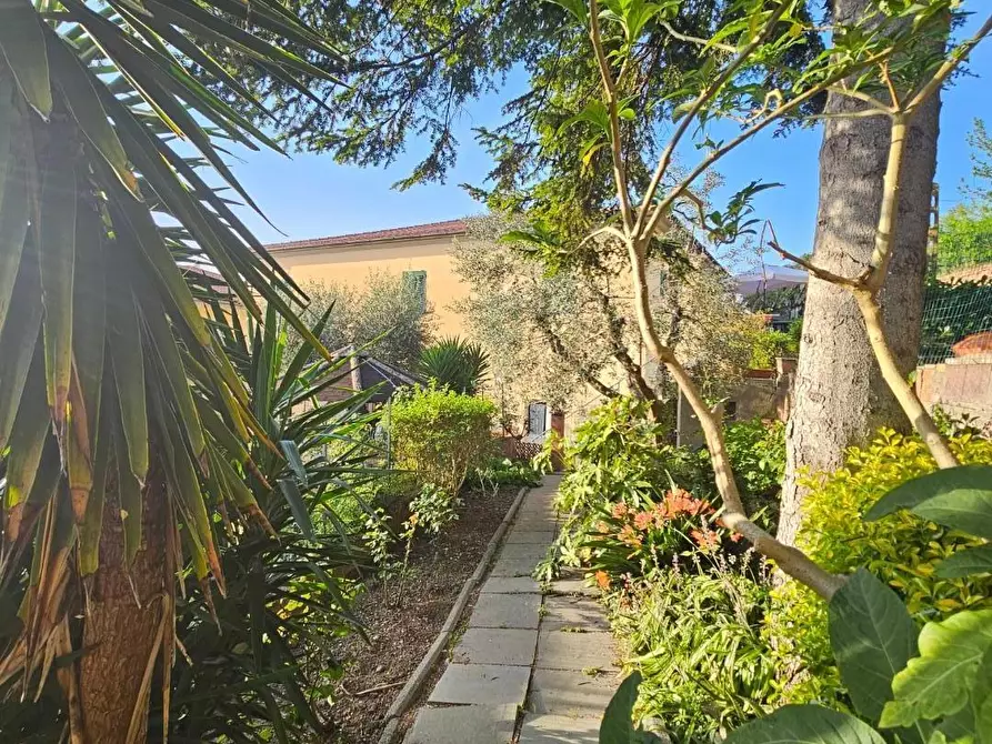 Immagine 33 di Porzione di casa in vendita  a Collesalvetti
