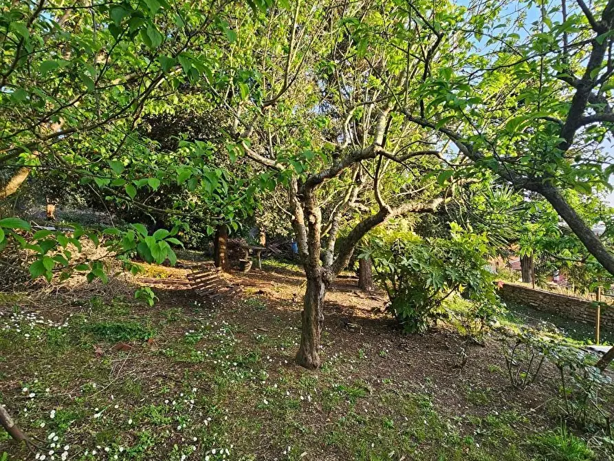 Immagine 47 di Porzione di casa in vendita  a Collesalvetti
