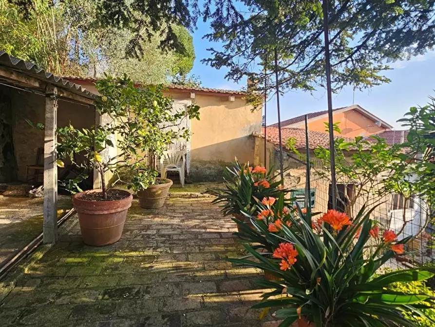 Immagine 1 di Porzione di casa in vendita  a Collesalvetti