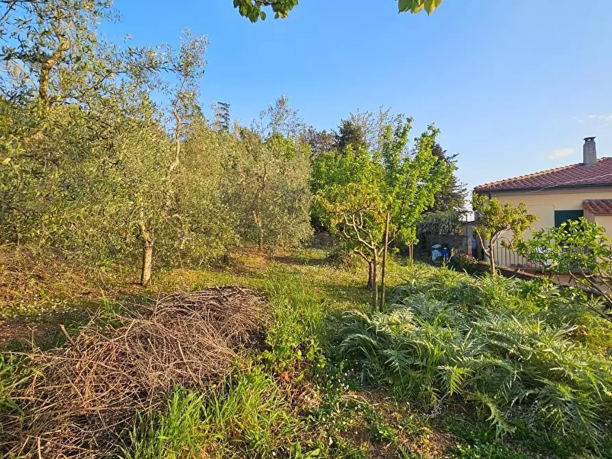 Immagine 44 di Porzione di casa in vendita  a Collesalvetti