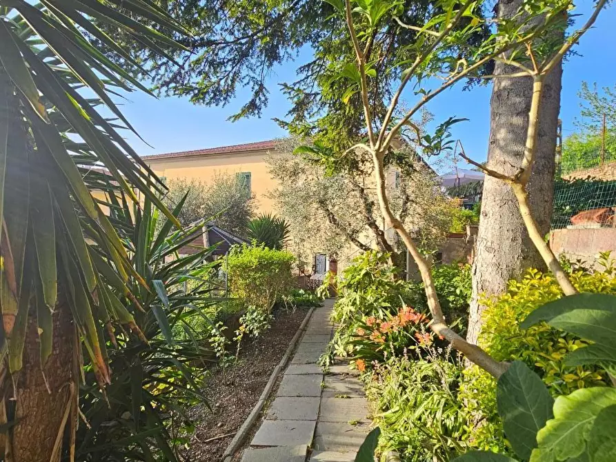 Immagine 37 di Porzione di casa in vendita  a Collesalvetti