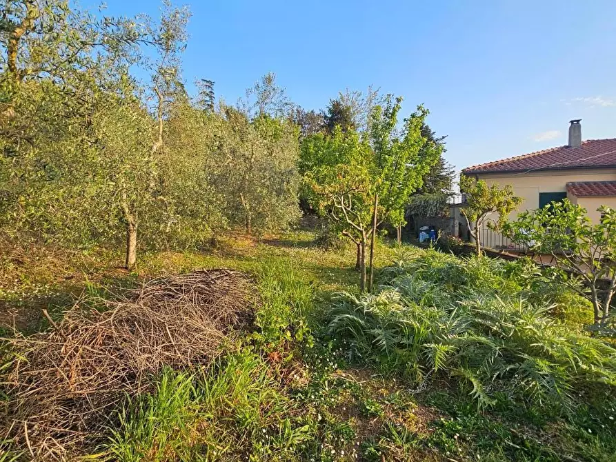 Immagine 43 di Porzione di casa in vendita  a Collesalvetti