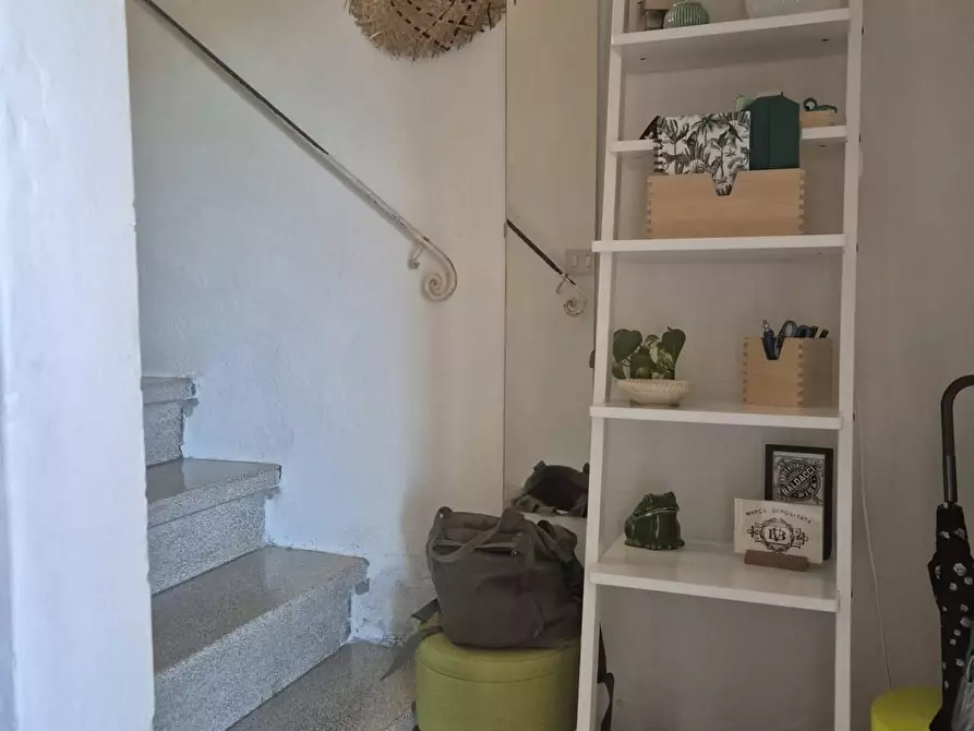 Immagine 11 di Terratetto in vendita  a Casciana Terme Lari