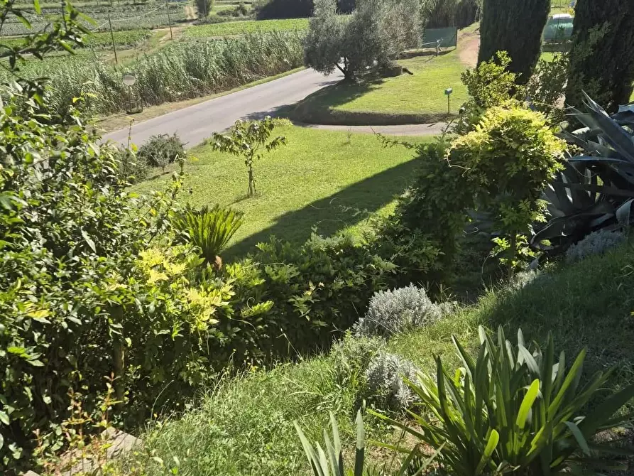 Immagine 4 di Terratetto in vendita  a Casciana Terme Lari