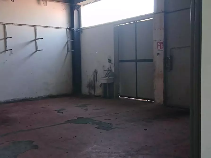 Immagine 4 di Attività artigianale in vendita  a Massa