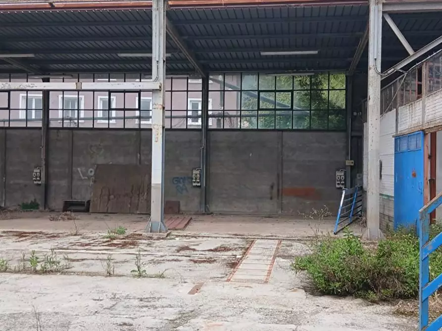 Immagine 3 di Attività artigianale in vendita  a Massa