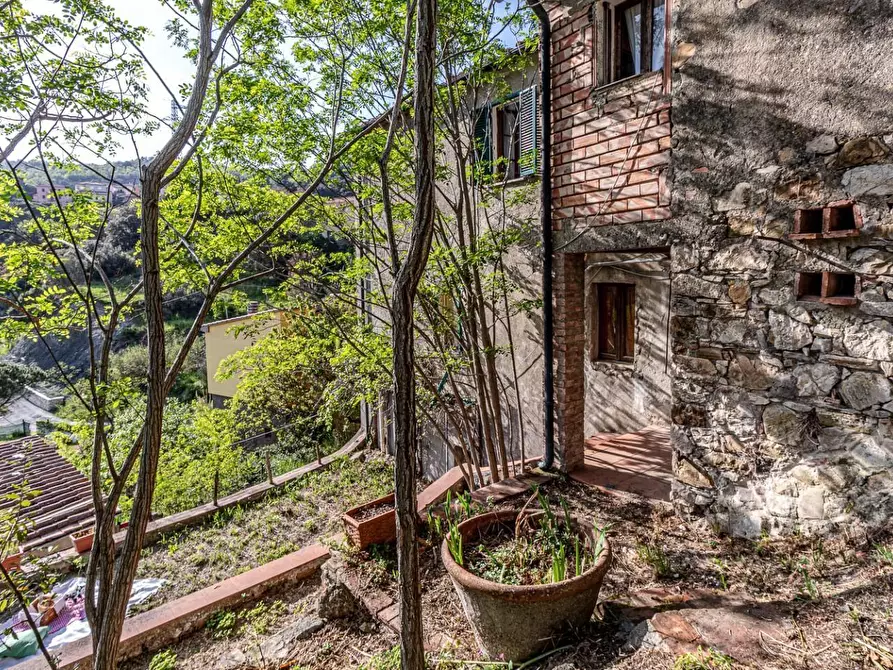 Immagine 44 di Appartamento in vendita  a Pomarance