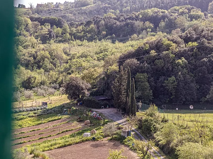 Immagine 39 di Appartamento in vendita  a Pomarance